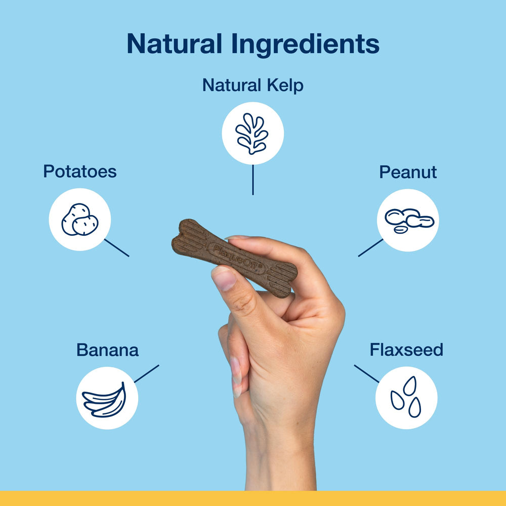 ProDen PlaqueOff Mini: huesos dentales sabor plátano y cacahuete para perros pequeños.