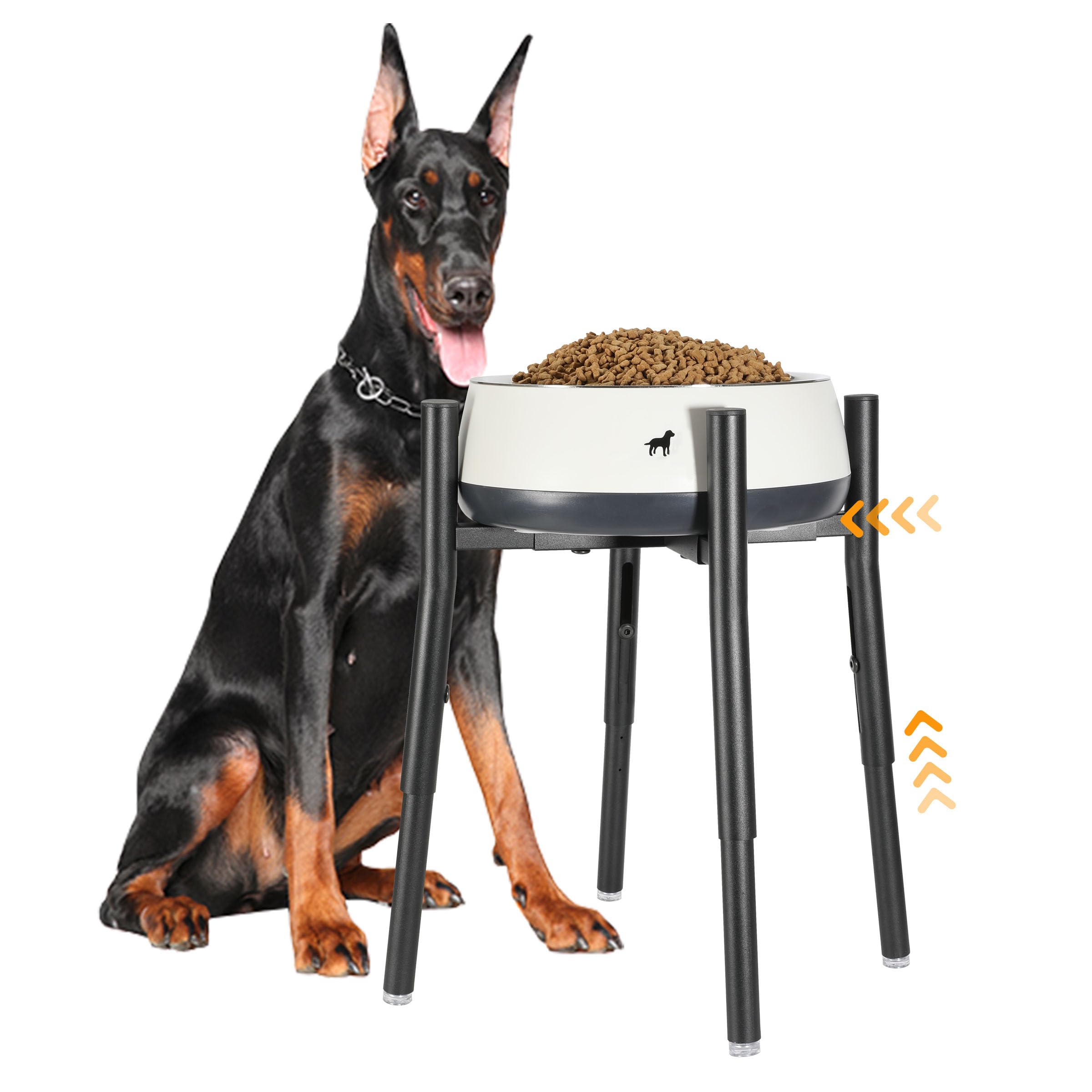 PROERR soporte para comida de perro con altura ajustable entre 12 y 16 pulgadas.