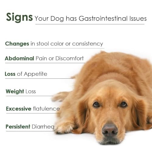 Fórmula veterinaria Proflora para apoyo digestivo en caninos