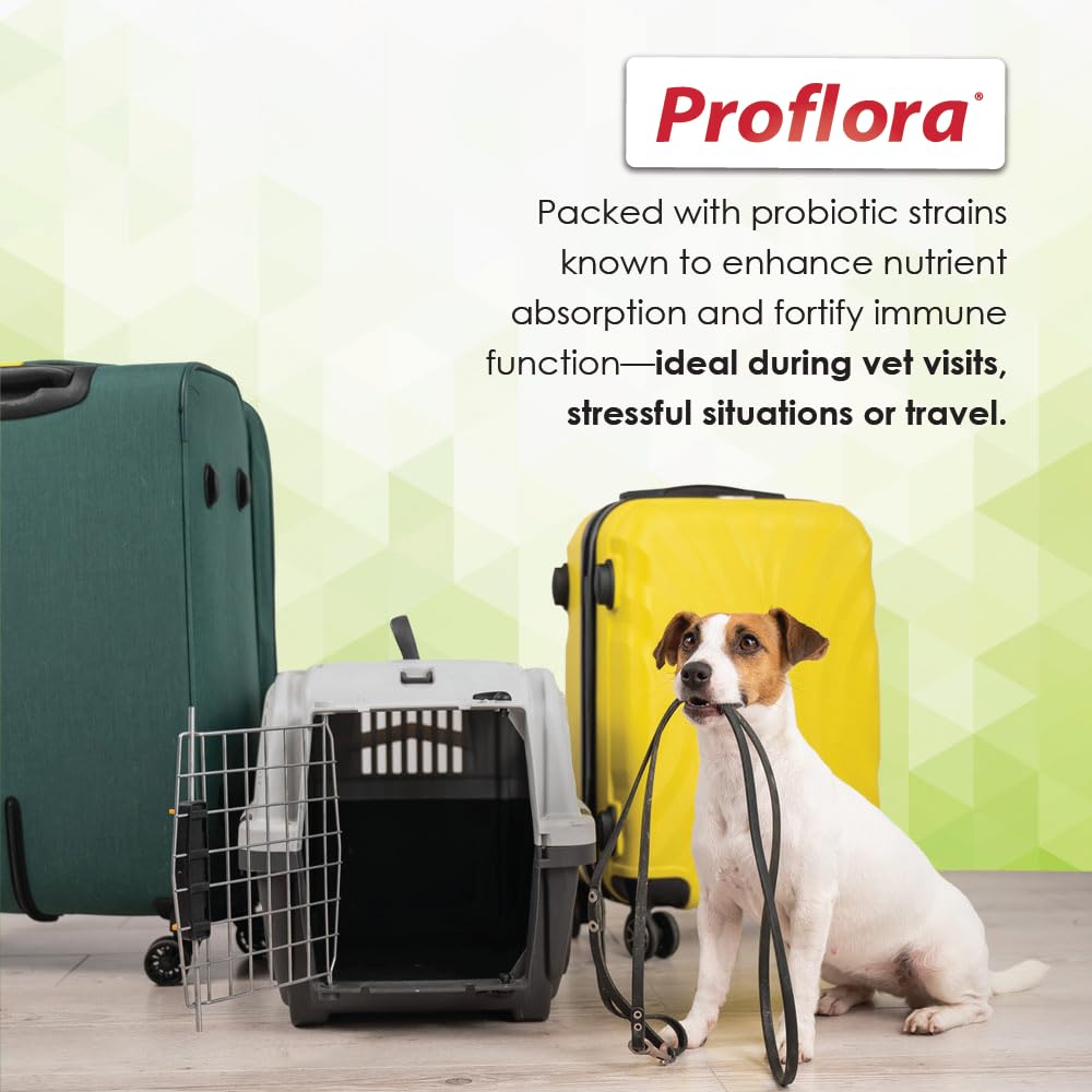 Proflora mantiene el equilibrio de la flora intestinal canina