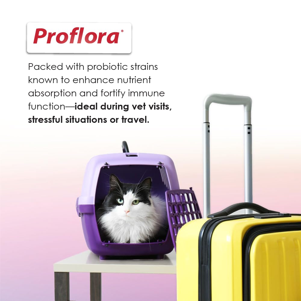 Proflora Gatos Envase Sellado NASC Calidad garantizada