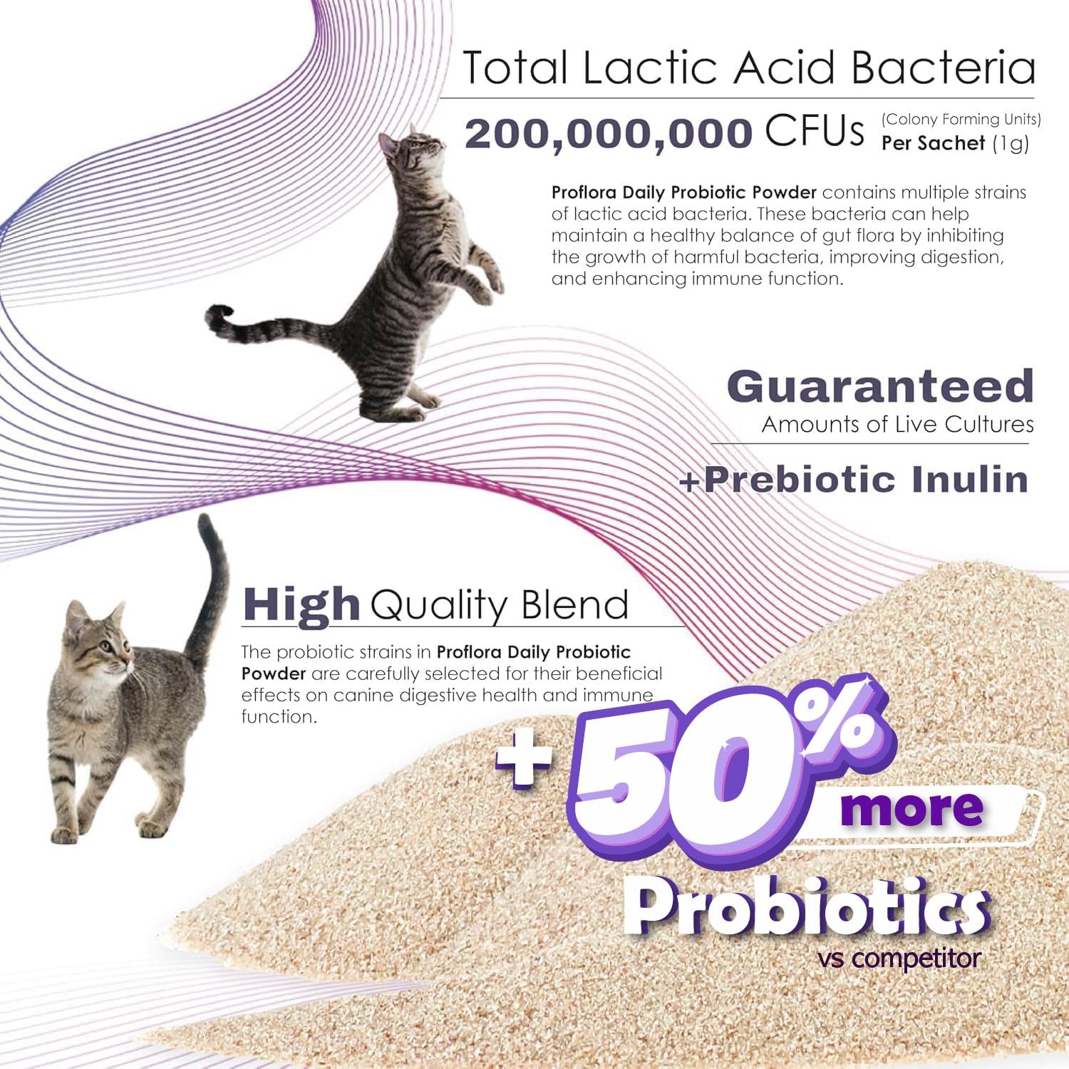 Proflora Gatos Formulado Veterinario con Prebioticos