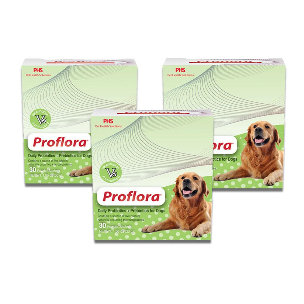 Proflora Probiotic para perros: frasco y etiqueta para salud digestiva