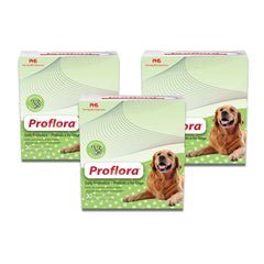 Proflora Probiotic para perros: frasco y etiqueta para salud digestiva