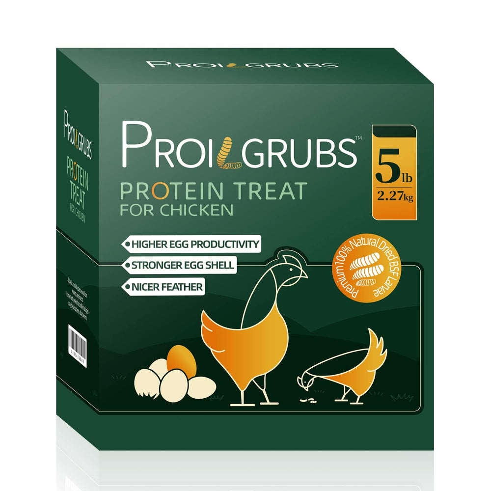 PROILGRUBS larvas secadas para pollos: merienda proteica y atractiva.