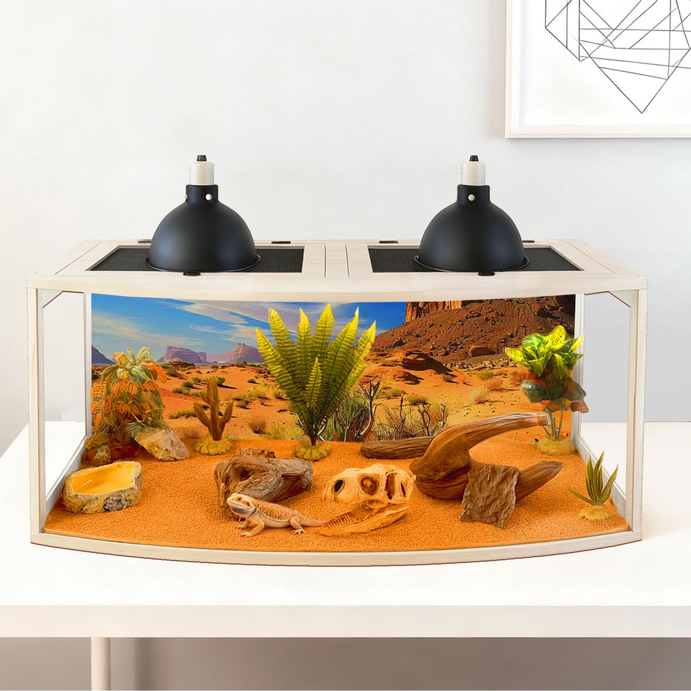 PROLEE hábitat reptil paneles-acrilico-tres-lados permite vista panorámica y limpieza rápida.