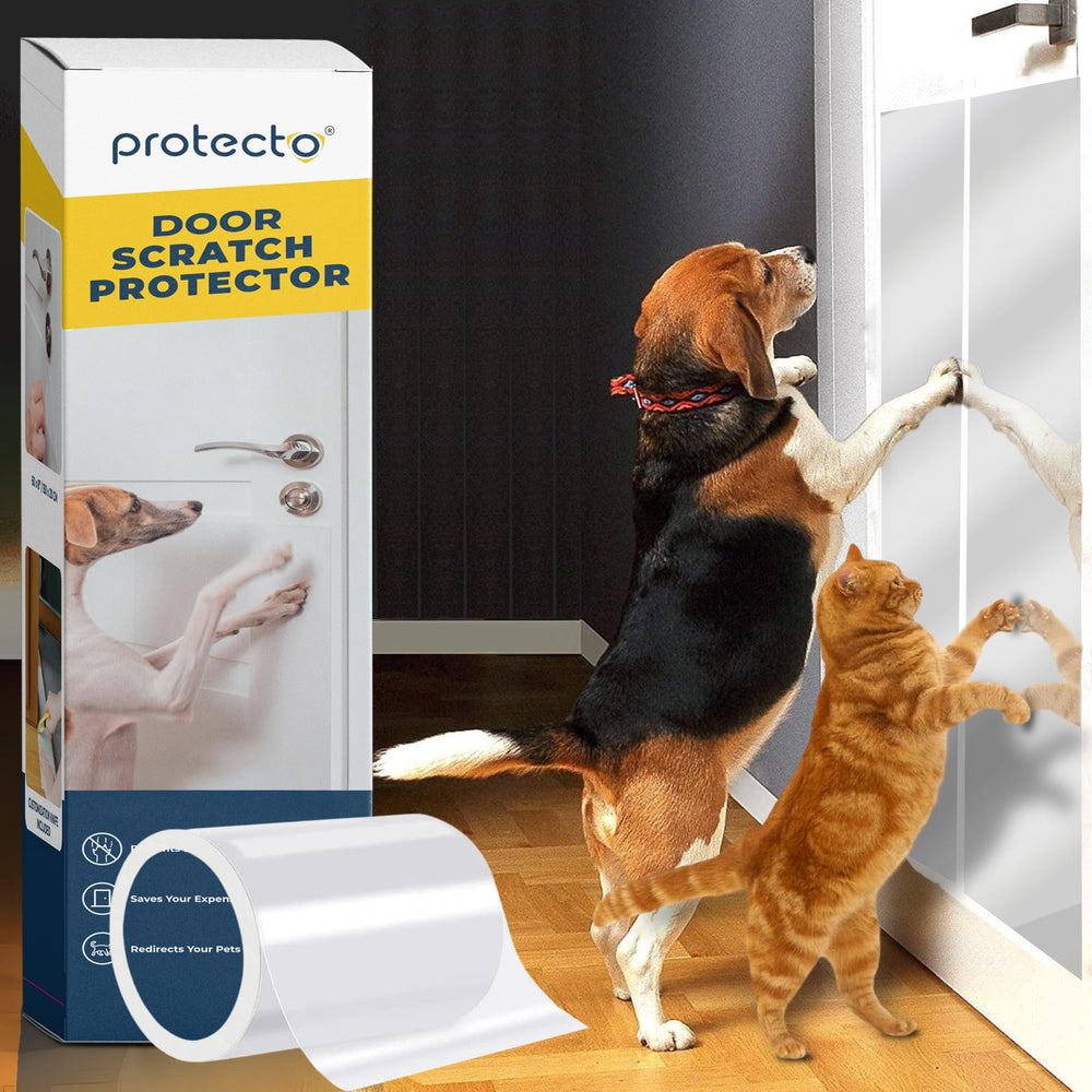 PROTECTO barrera de pared transparente 60x8 para proteger muebles.