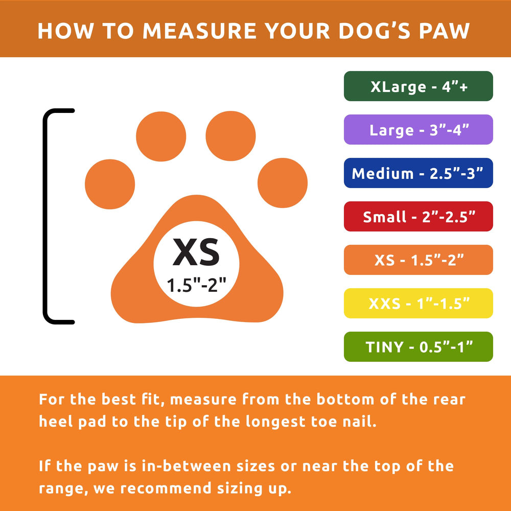Botas Protex PawZ ayudan a evitar pavimento caliente en verano.