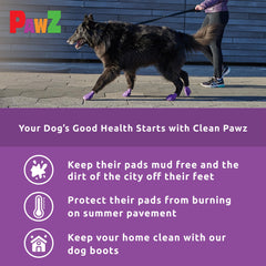Botas Protex PawZ para lluvia y nieve permiten paseos al exterior