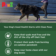 Protex PawZ: botas para lluvia y nieve, manteniendo las patas secas.