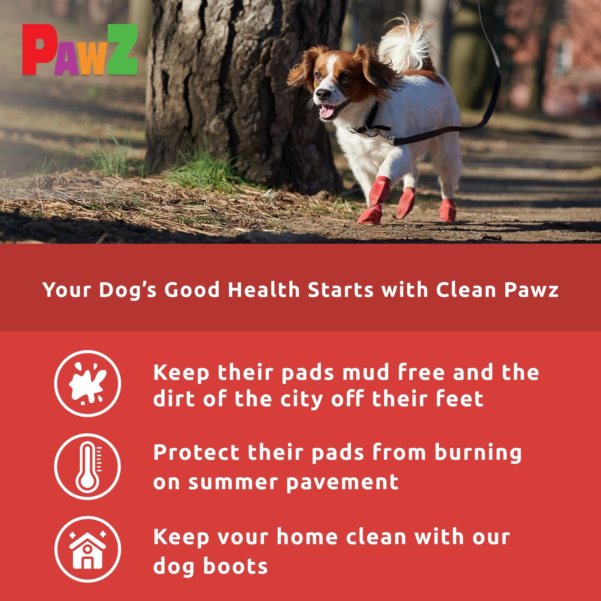 Protex PawZ botas para perro pequeño, protección contra charcos durante caminatas