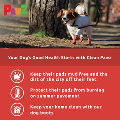 Protex PawZ botas para perro pequeño, protección contra charcos durante caminatas