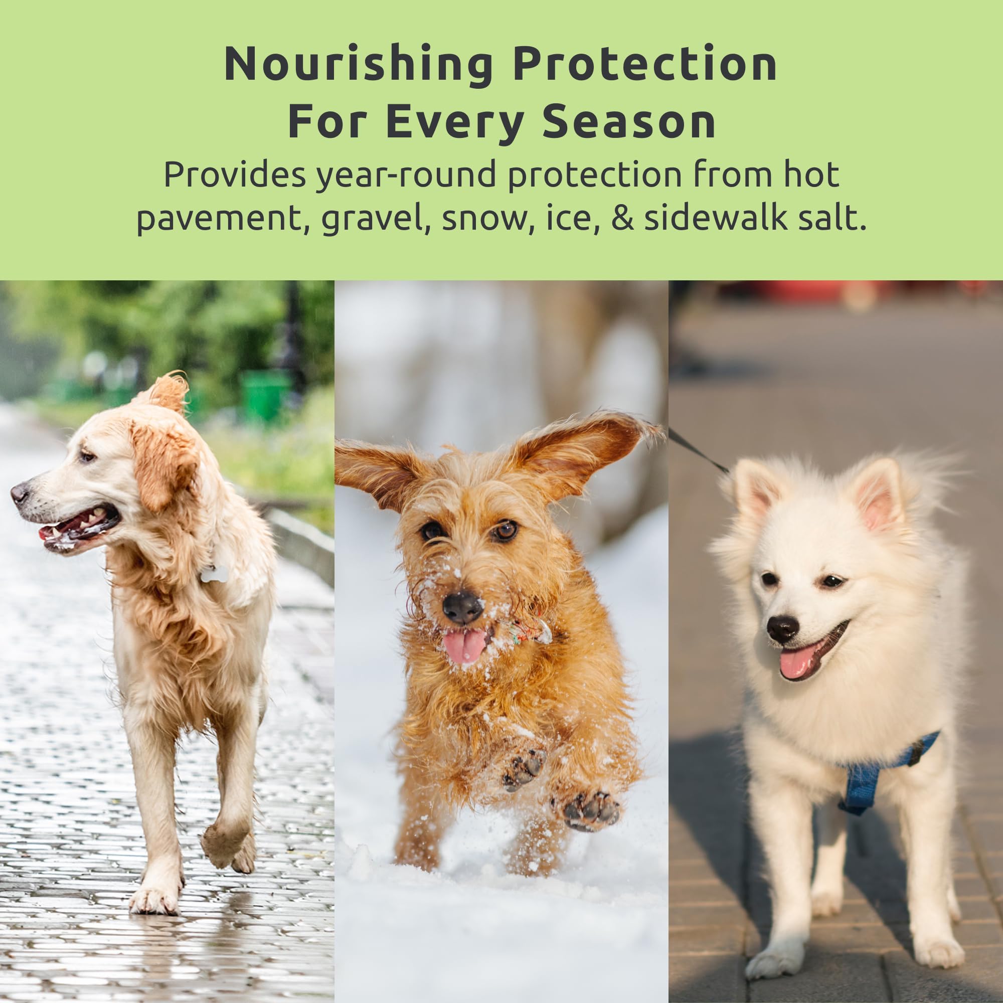 Protección estival Protex PawZ MaxWax, evita superficies calientes en perros