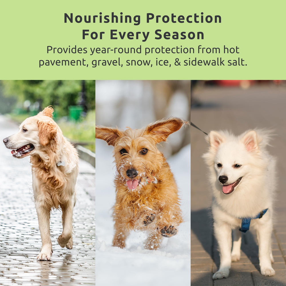 Protección estival Protex PawZ MaxWax, evita superficies calientes en perros