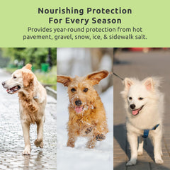 Protección estival Protex PawZ MaxWax, evita superficies calientes en perros