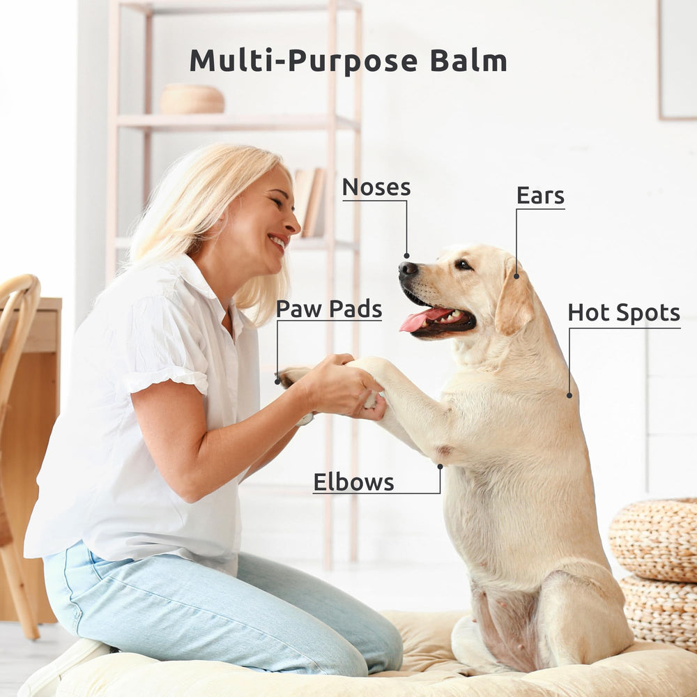Uso para perros: Protex PawZ MaxWax, ideal para casa y paseo