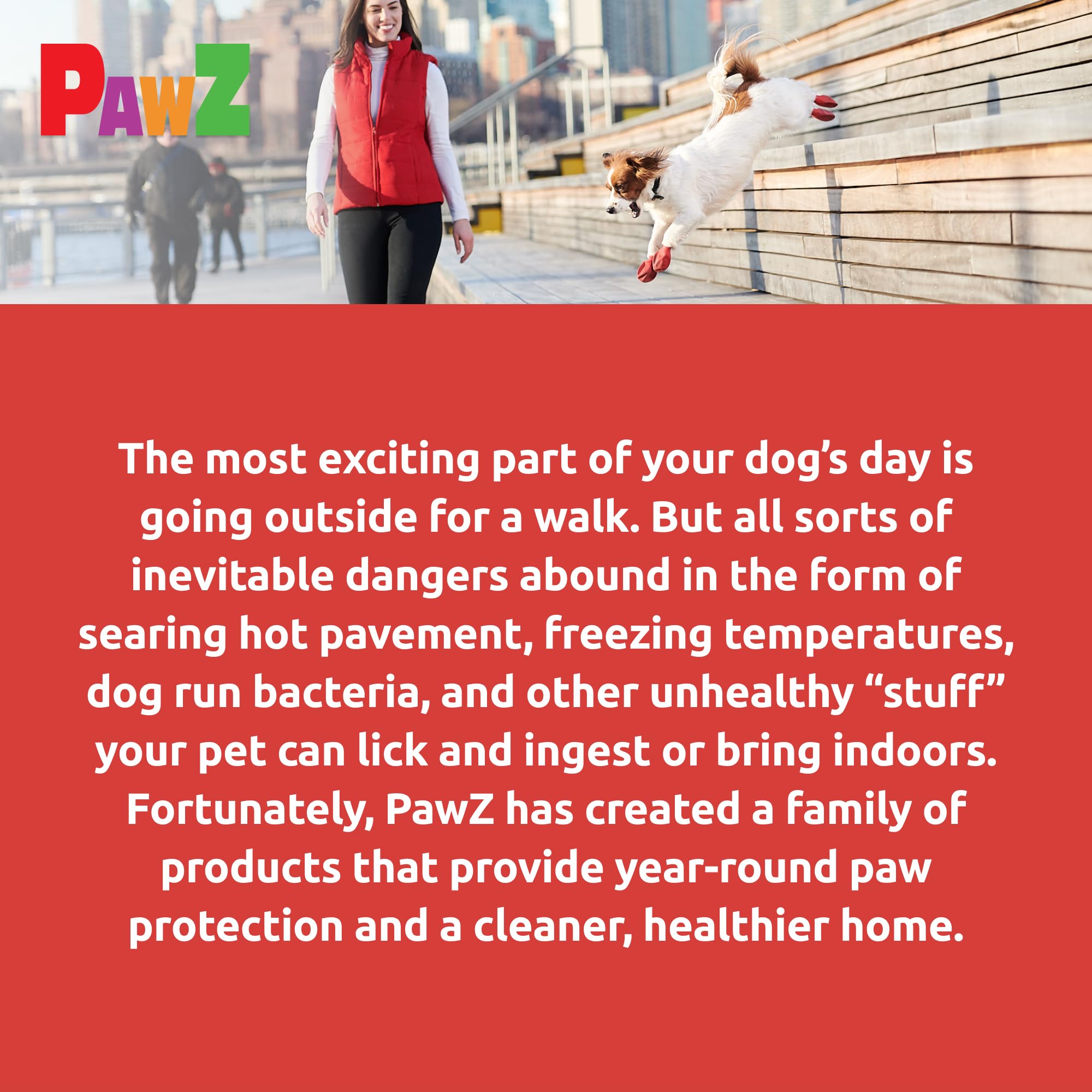 Paquete de 12 botas Protex PawZ para perros pequeños soportes y uso continuo