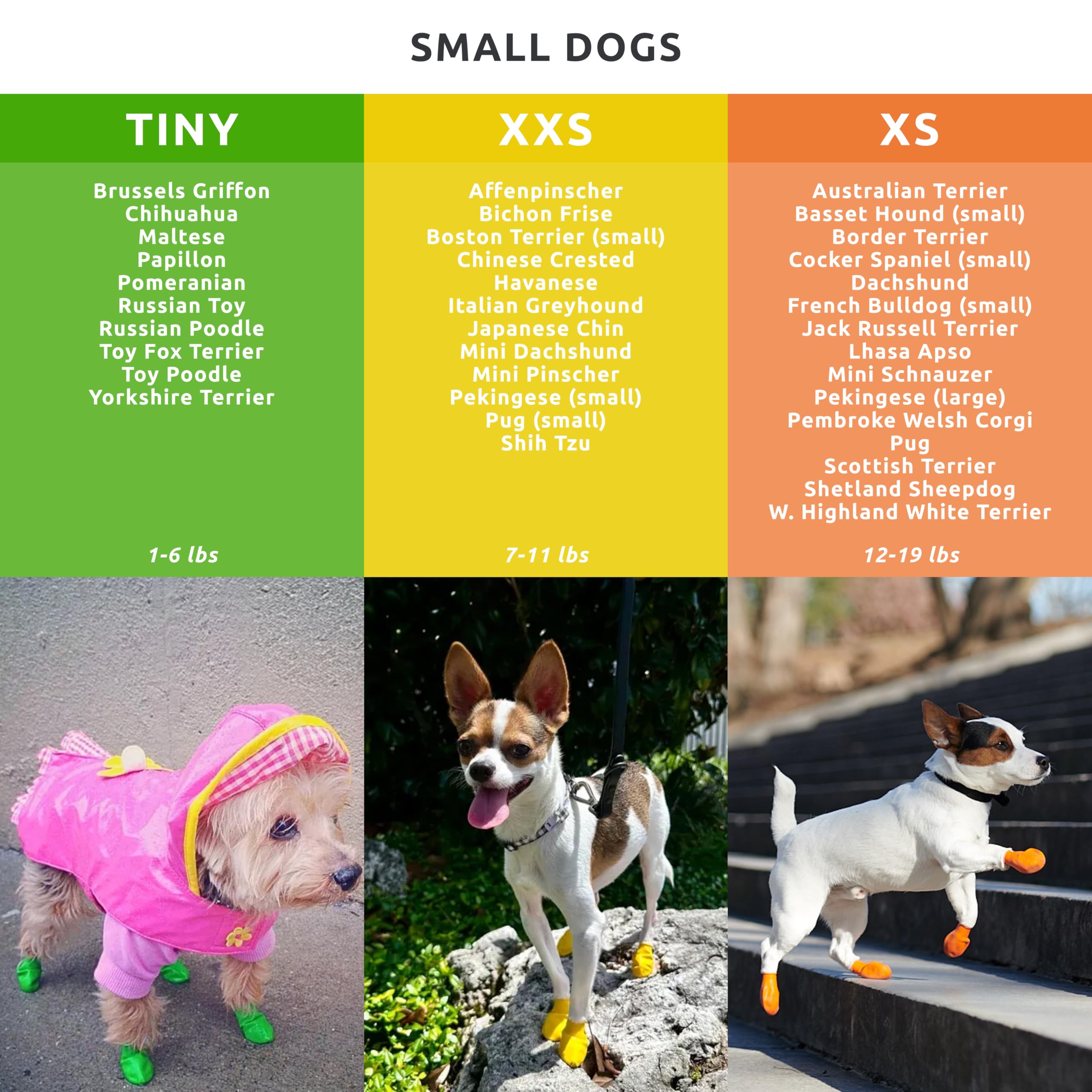 Protex PawZ uso al aire libre en lluvia y nieve, protección para patas.