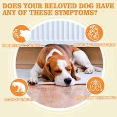 Provspro Taurina para perros con cuchara medidora para dosis precisas.