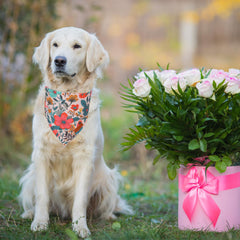 PTDECOR Bandana triangular para perro con doble capa.