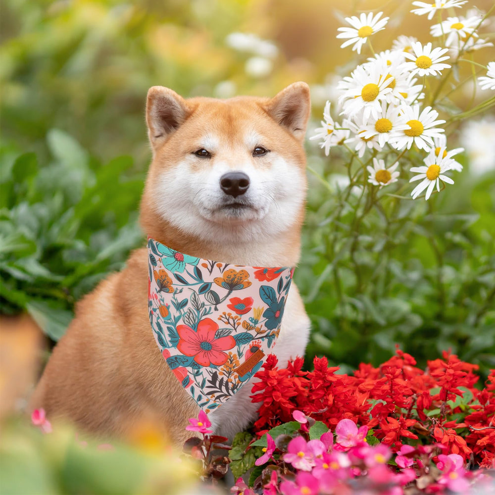 PTDECOR Bandanas para perros, dos estilos florales para combinaciones variadas.