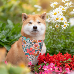 PTDECOR Bandanas para perros, dos estilos florales para combinaciones variadas.