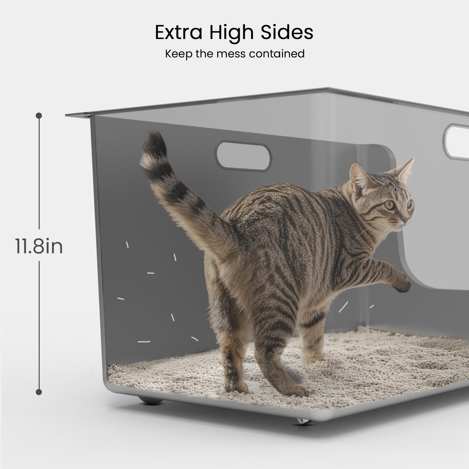 PTFFF caja de arena de acero inoxidable, fácil de limpiar y mantener