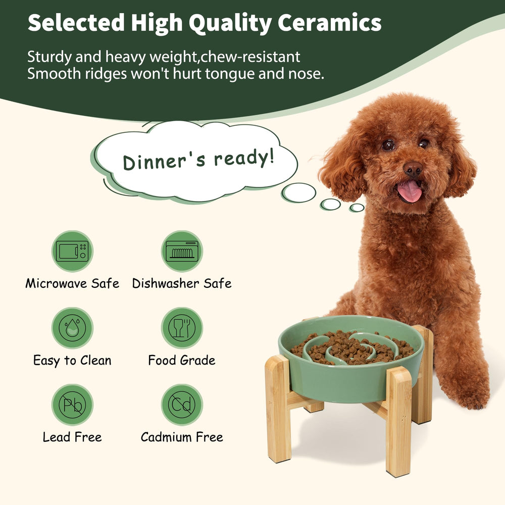 PTOBER tazón lento verde para perros pequeños y medianos