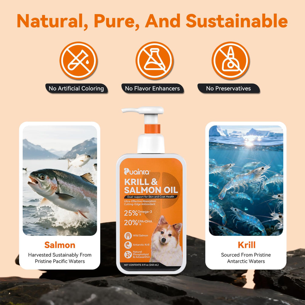 PUAINTA Aceite diario: uso regular para absorción óptima