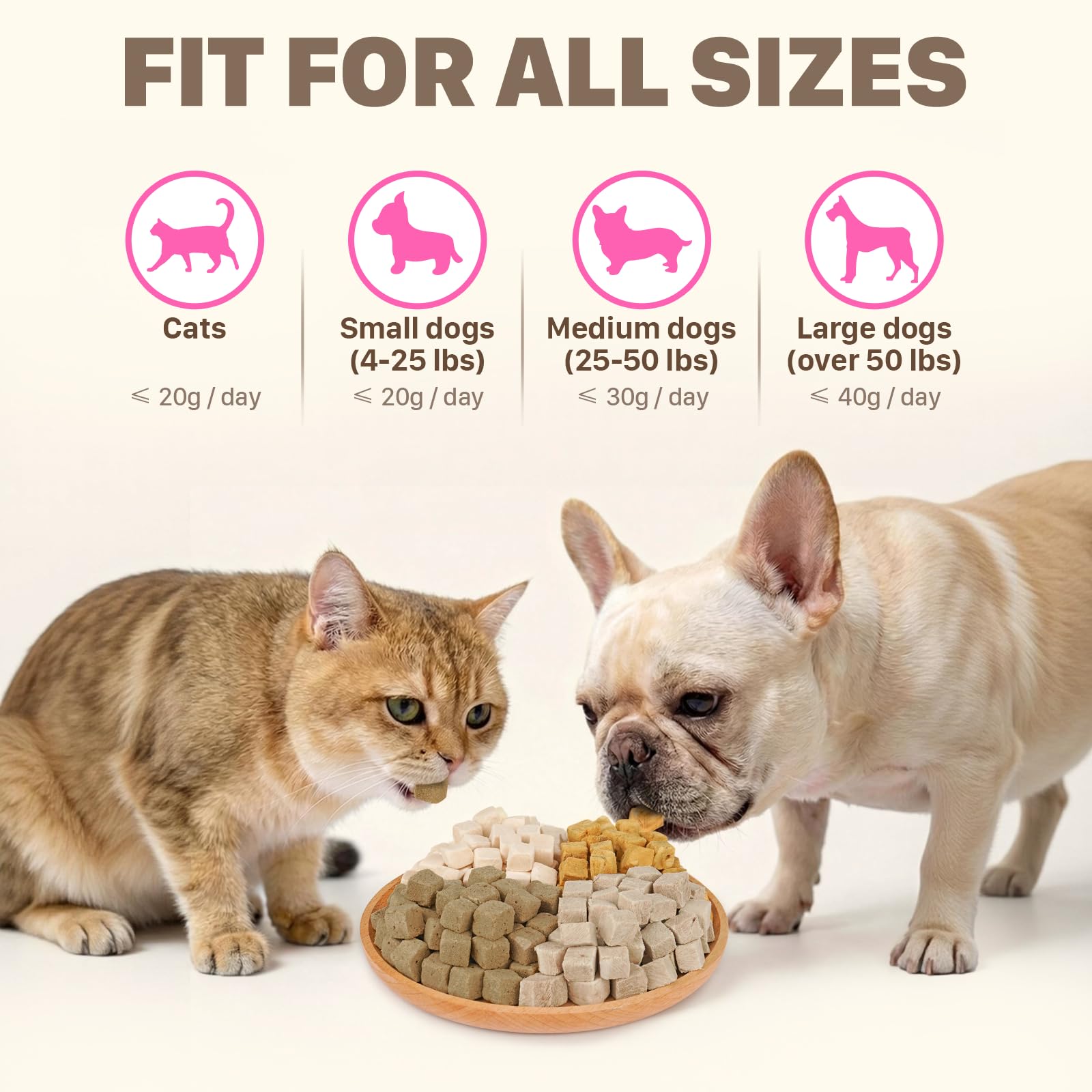 Puddonio complemento alimento gatos perros: complemento ligero para croquetas diarias.