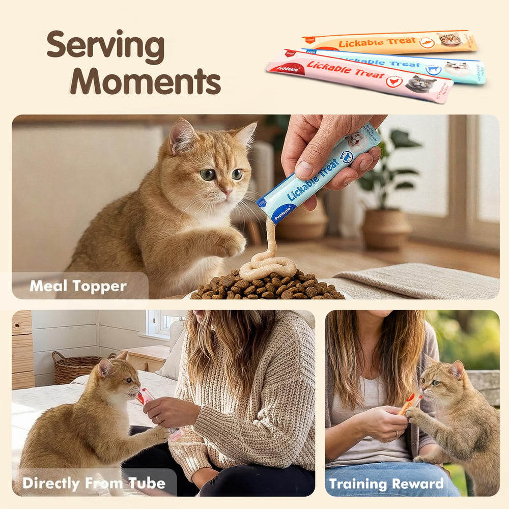 Puddonio: nutrición sencilla para felinos, complemento de las comidas.