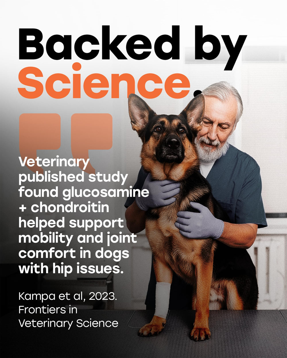 Pup Choice Glucosamina 500mg – cúrcuma y MSM para flexibilidad