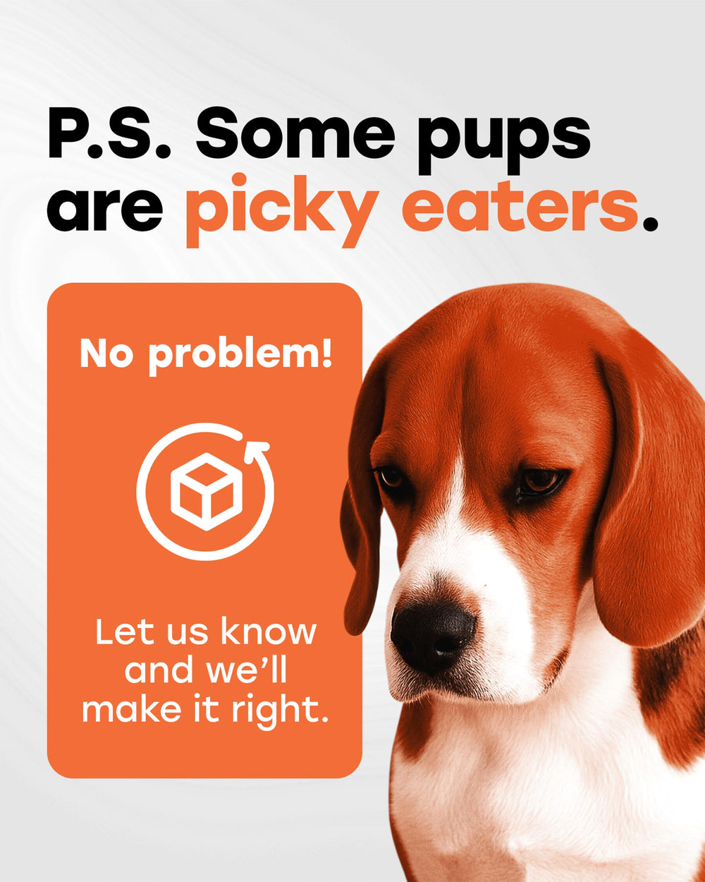 Pup Choice Glucosamina 500mg – dosis diaria recomendada