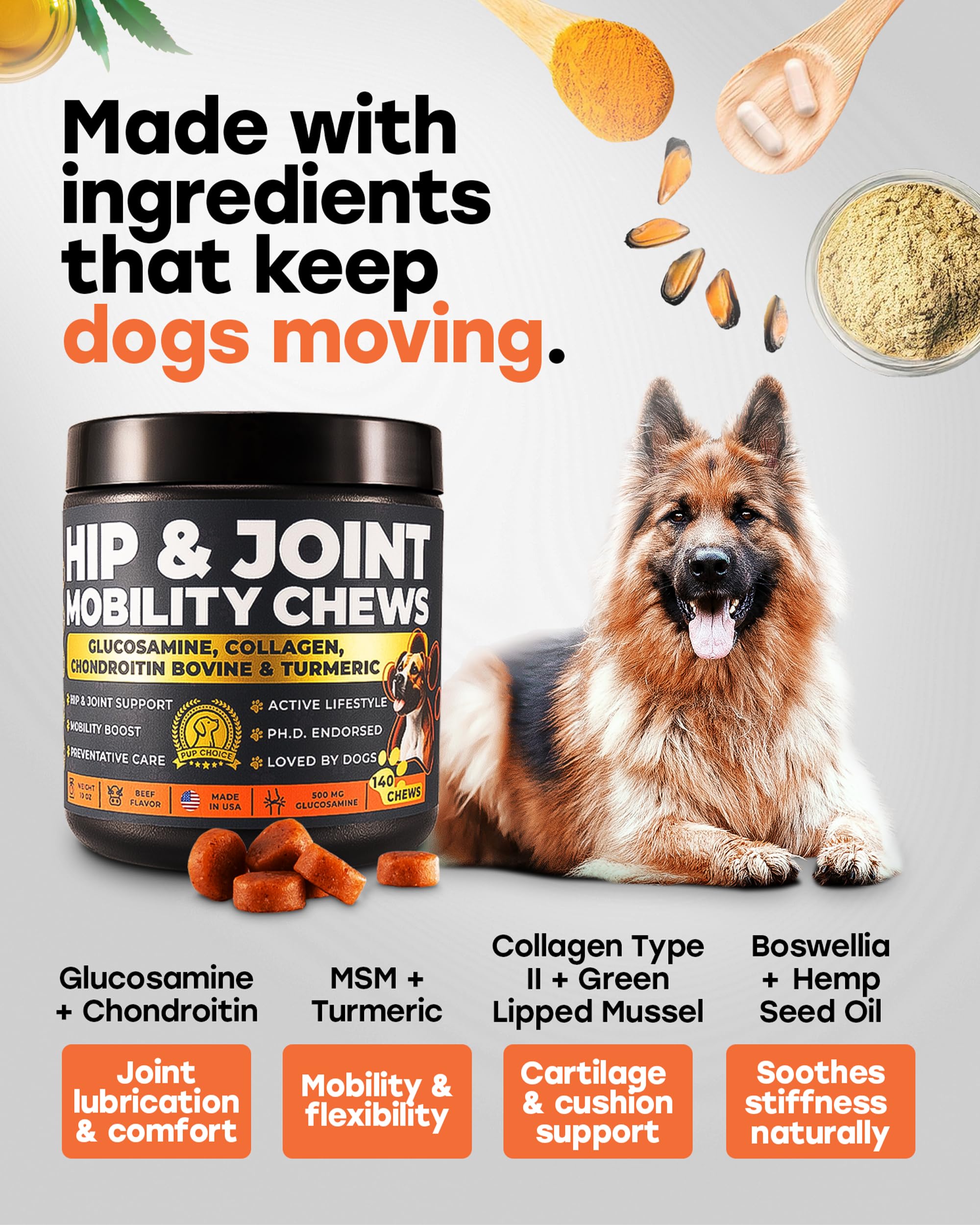 Pup Choice Glucosamina 500mg – perro senior activo disfrutando movilidad