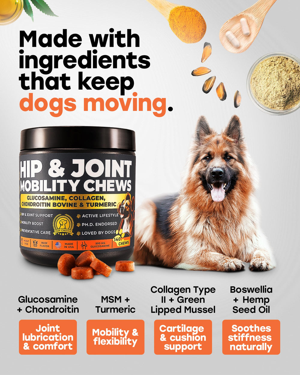 Pup Choice Glucosamina 500mg – perro senior activo disfrutando movilidad