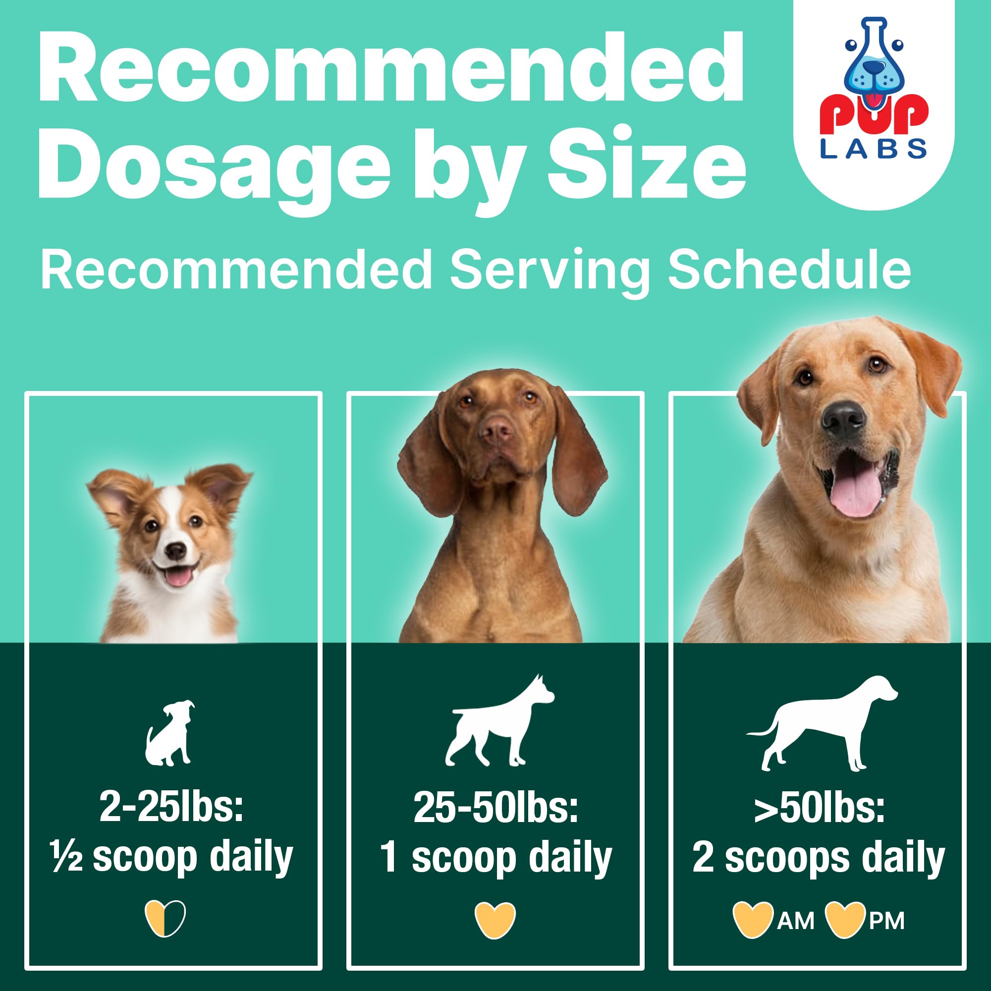 Pup Labs ProDenta Fresh Breath, aplicación rápida y fácil para el día a día.