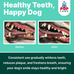 Pup Labs ProDenta Fresh Breath, mezcla en comida para facilitar la rutina diaria.
