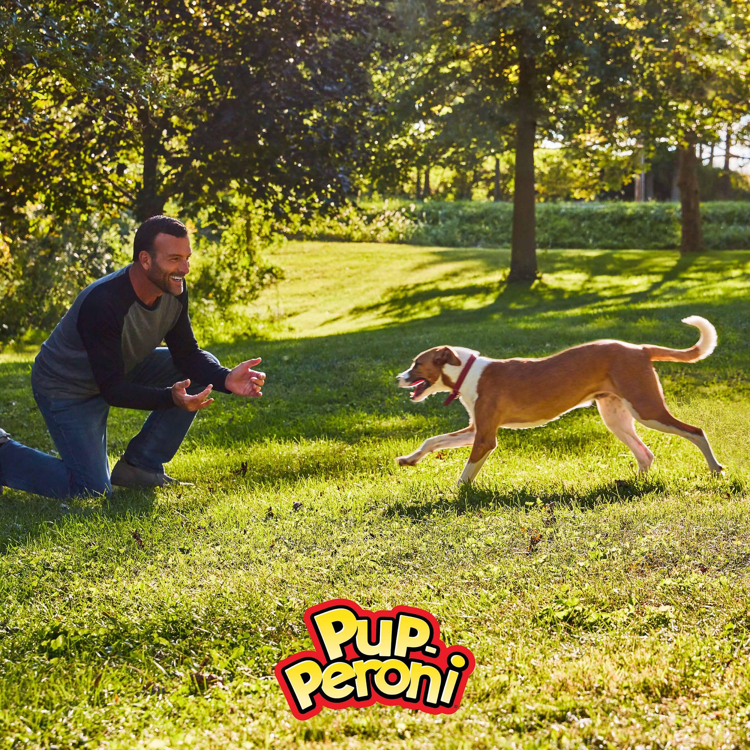 Pup-Peroni Lean Beef: bocaditos tiernos y sabrosos para perros activos