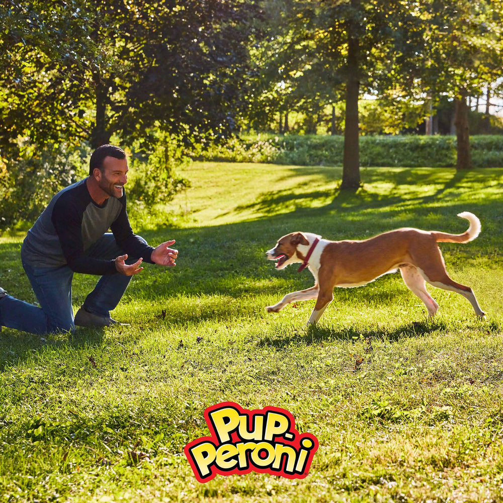Pup-Peroni Lean Beef: bocaditos tiernos y sabrosos para perros activos