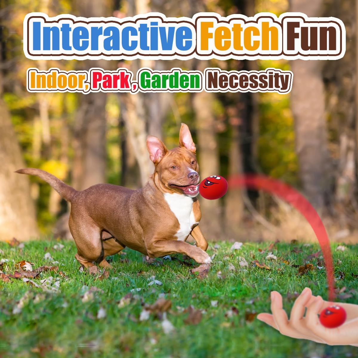 Regalo ideal para cachorros o para celebrar su primer año.