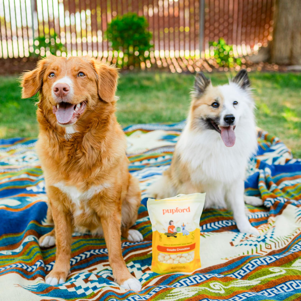 Pupford Cheese Crunchies ingrediente-unico queso Gouda 100% natural
