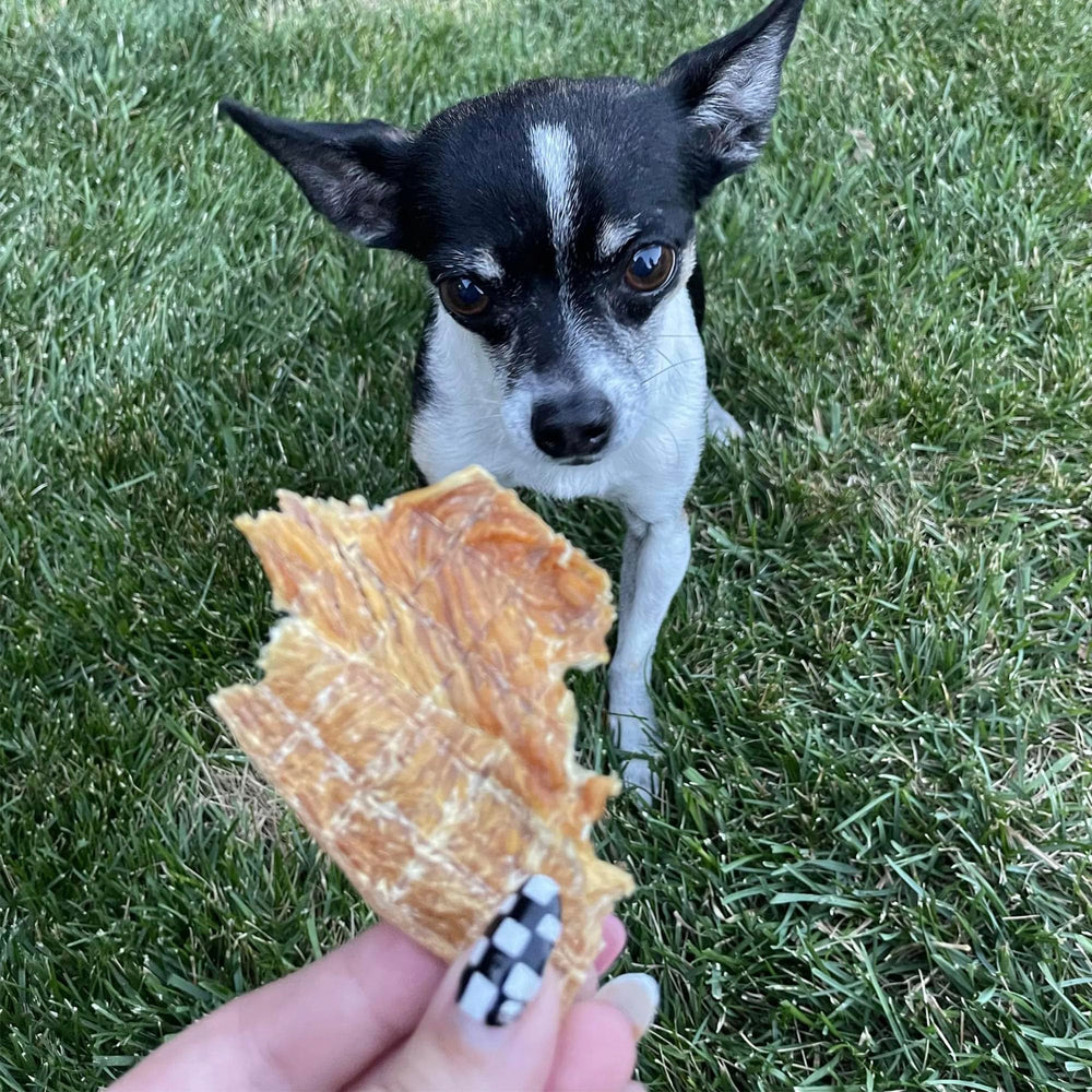 Pupford Crunchy Jerky: hecho en EE. UU. con control de calidad para perros.