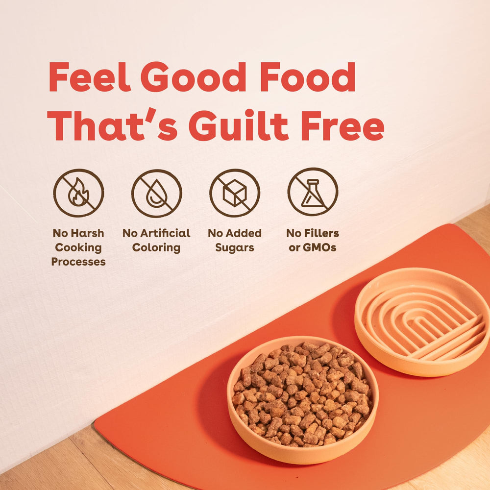 Pupford, ingredientes de res y superalimentos, nutrición equilibrada para cada comida.