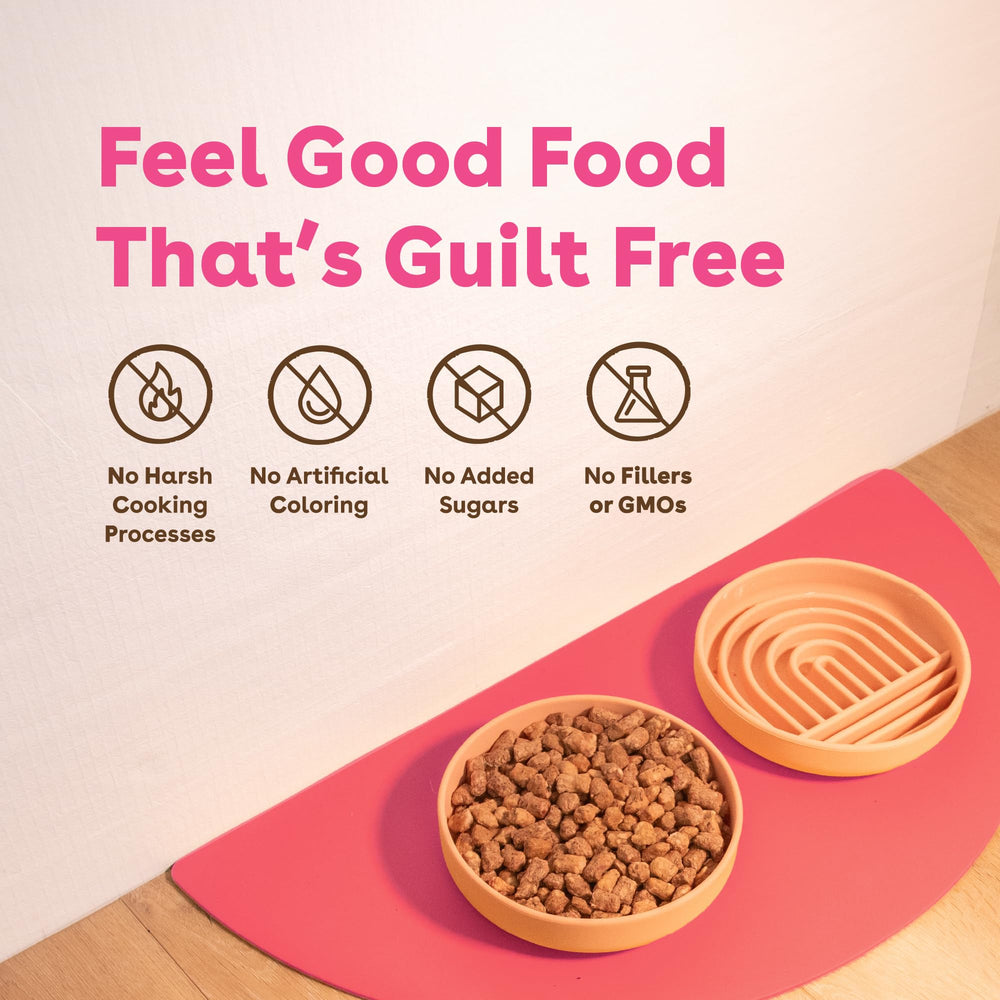 Pupford croquetas proteína alta para músculos y vitalidad del perro.