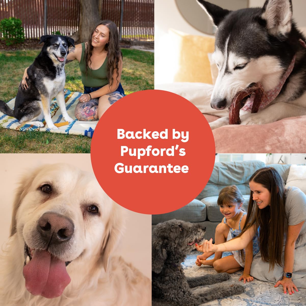 Pupford Sabor natural de res, recompensa apetecible para perros.