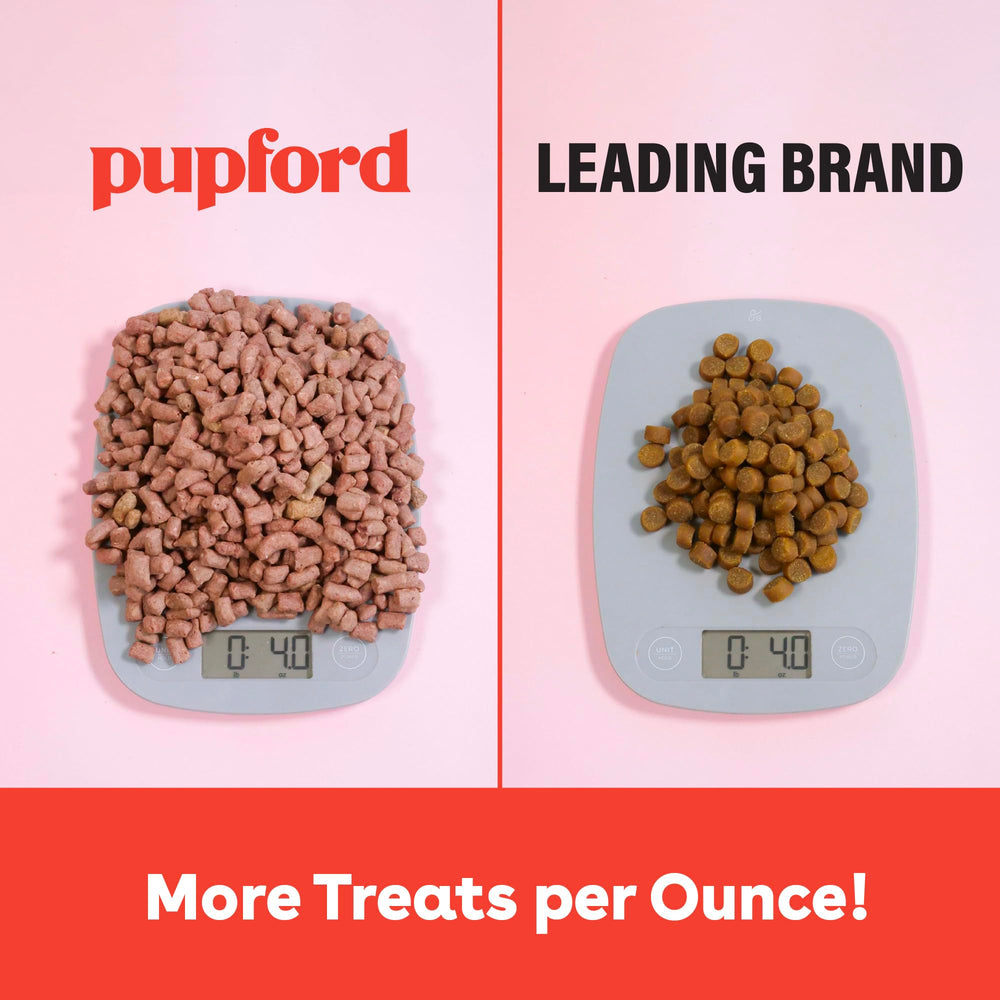 Pupford sabores variados para encontrar la favorita de cada perro.