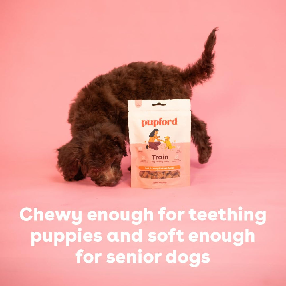 Sin rellenos artificiales ni aditivos innecesarios para perros sensibles.