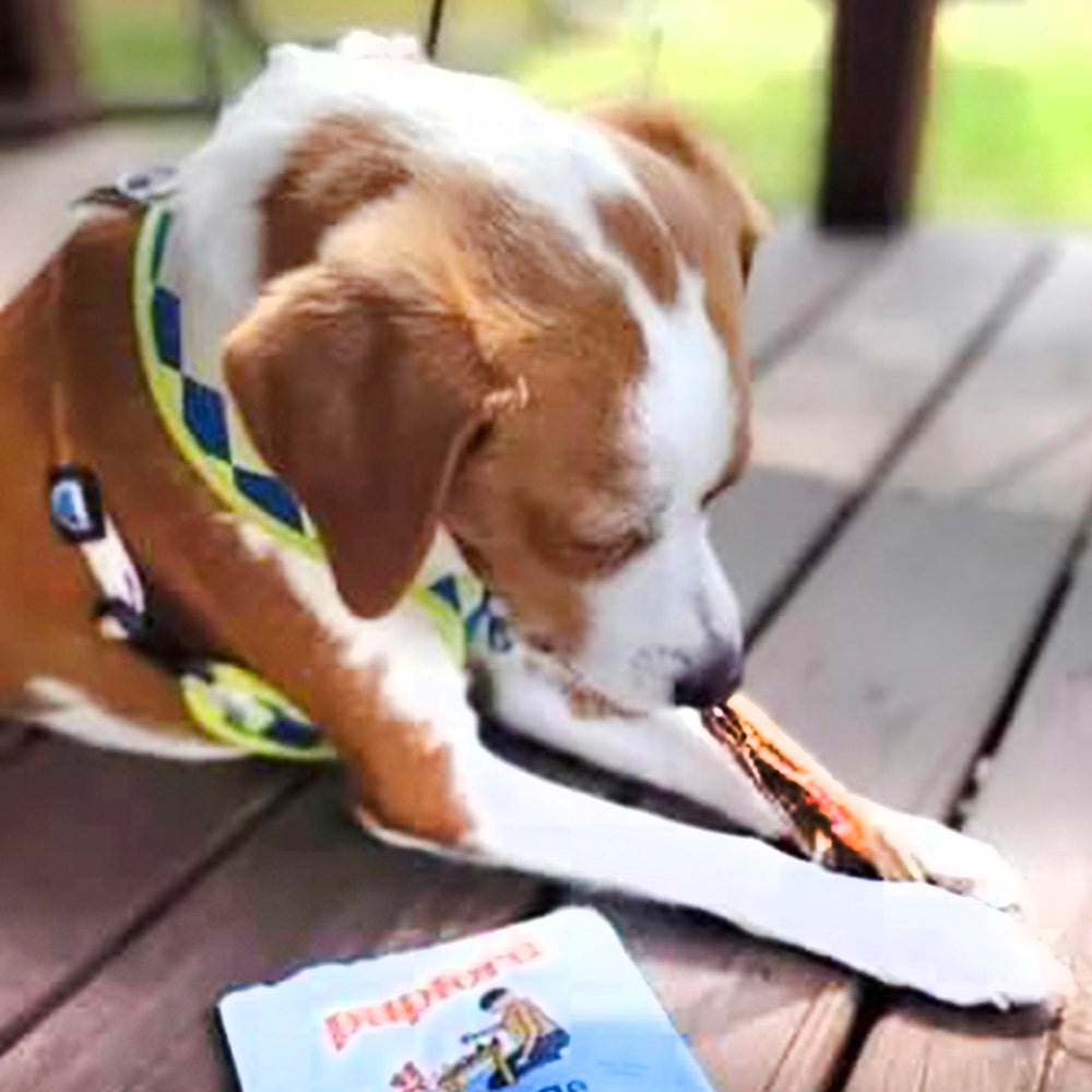 Pupford Tendones de res: masticación prolongada para mantener a tu perro entretenido.