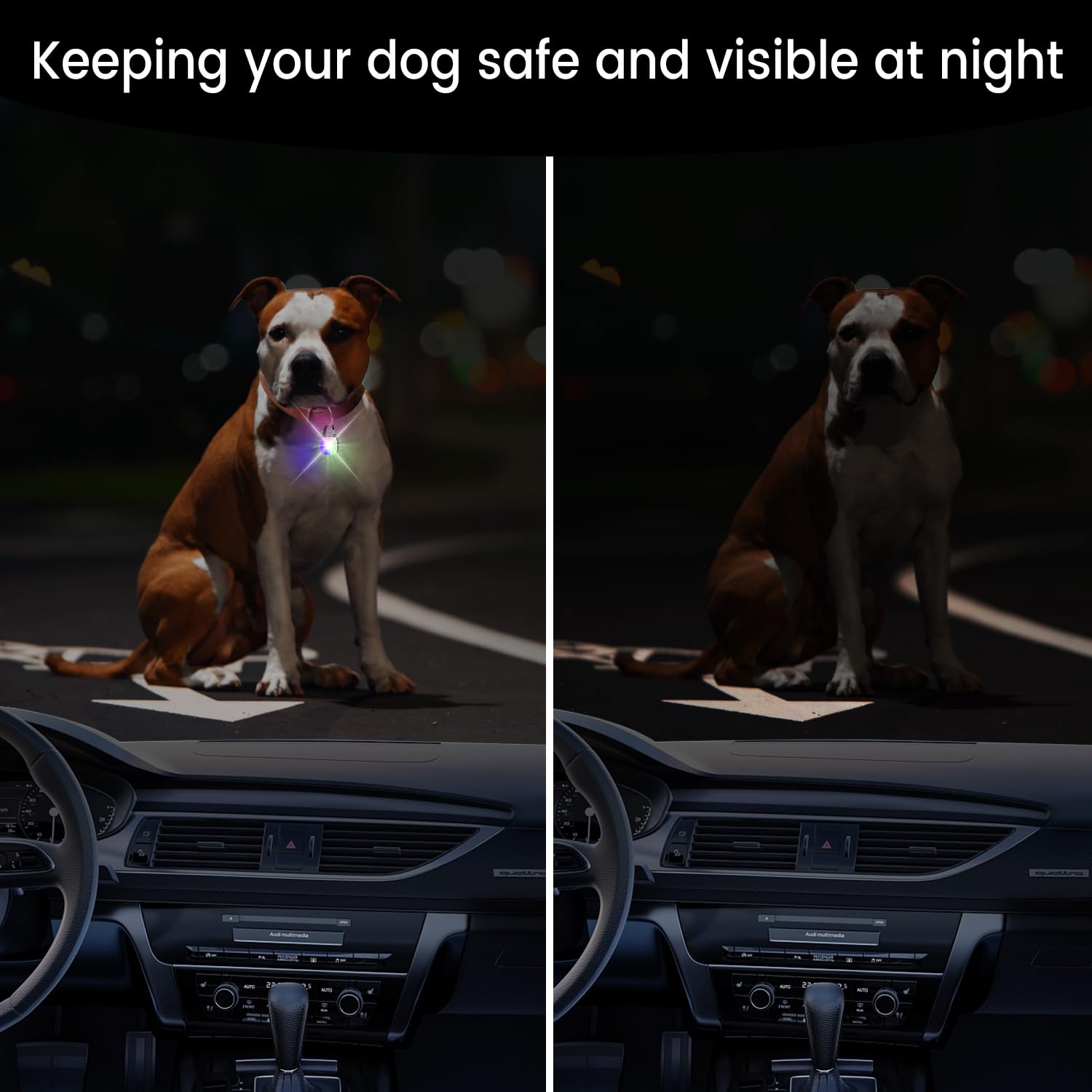 PUPKOLI cuatro modos de color luz para distinguir cachorros en paseos nocturnos.