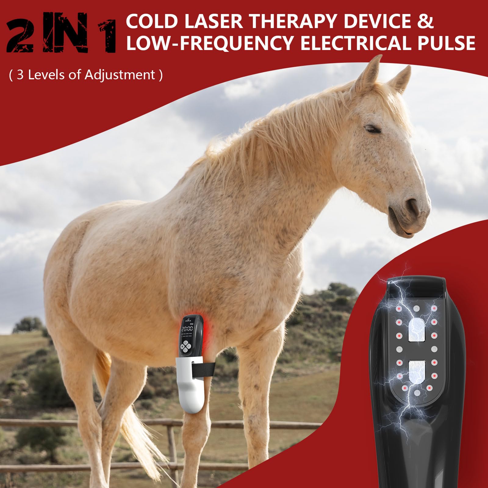 PUPCA luz roja 808nm/650nm para caballos, apoyo a la cicatrización